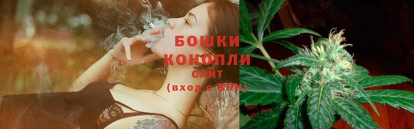 мдпв Нея