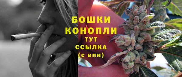 мдпв Нея