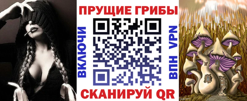 Псилоцибиновые грибы прущие грибы  как найти закладки  Фёдоровский 